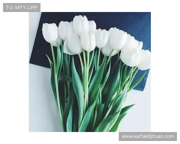 尊龙时凯 人生就是拼：在拼搏中找到人生的真正价值